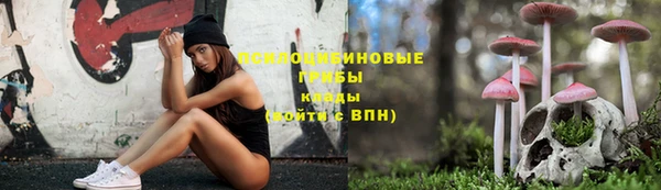 бошки Баксан