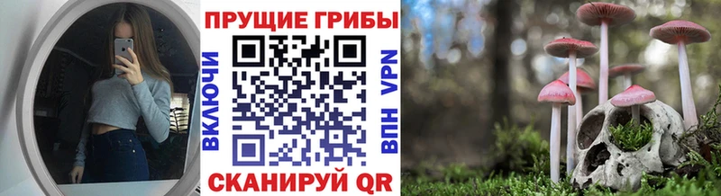 Псилоцибиновые грибы мицелий  нарко площадка официальный сайт  Кушва  mega ССЫЛКА 